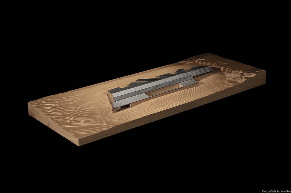 沙漠之珠 · 多尼亚国家公园海洋博物馆-36