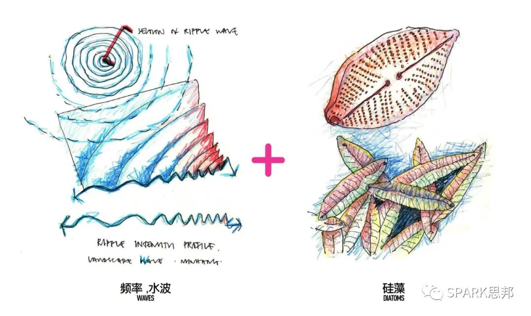 上海闵行东岸滨水景观提升项目 | SPARK 打造绿色生态滨水空间-16