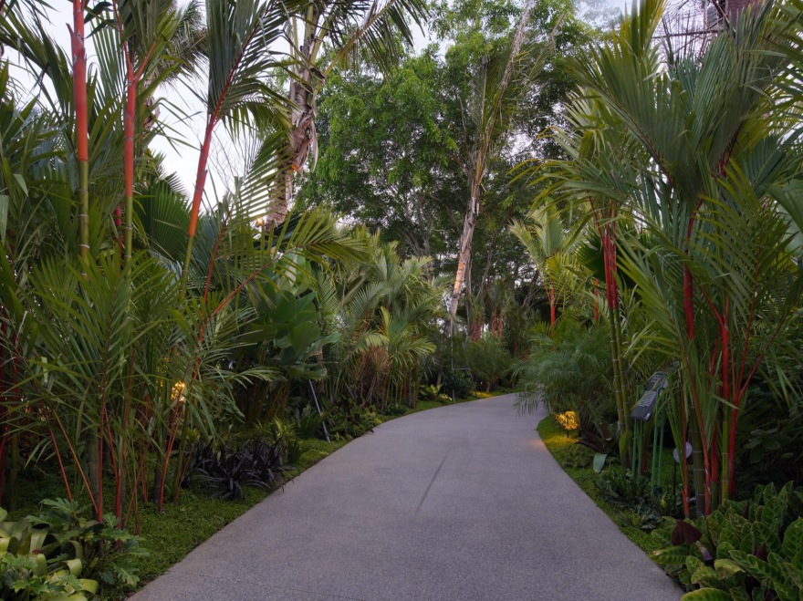 三亚海棠河生态公园阔叶浅溪段的花境生态营造丨中国三亚丨LOLA景观建筑设计事务所-105