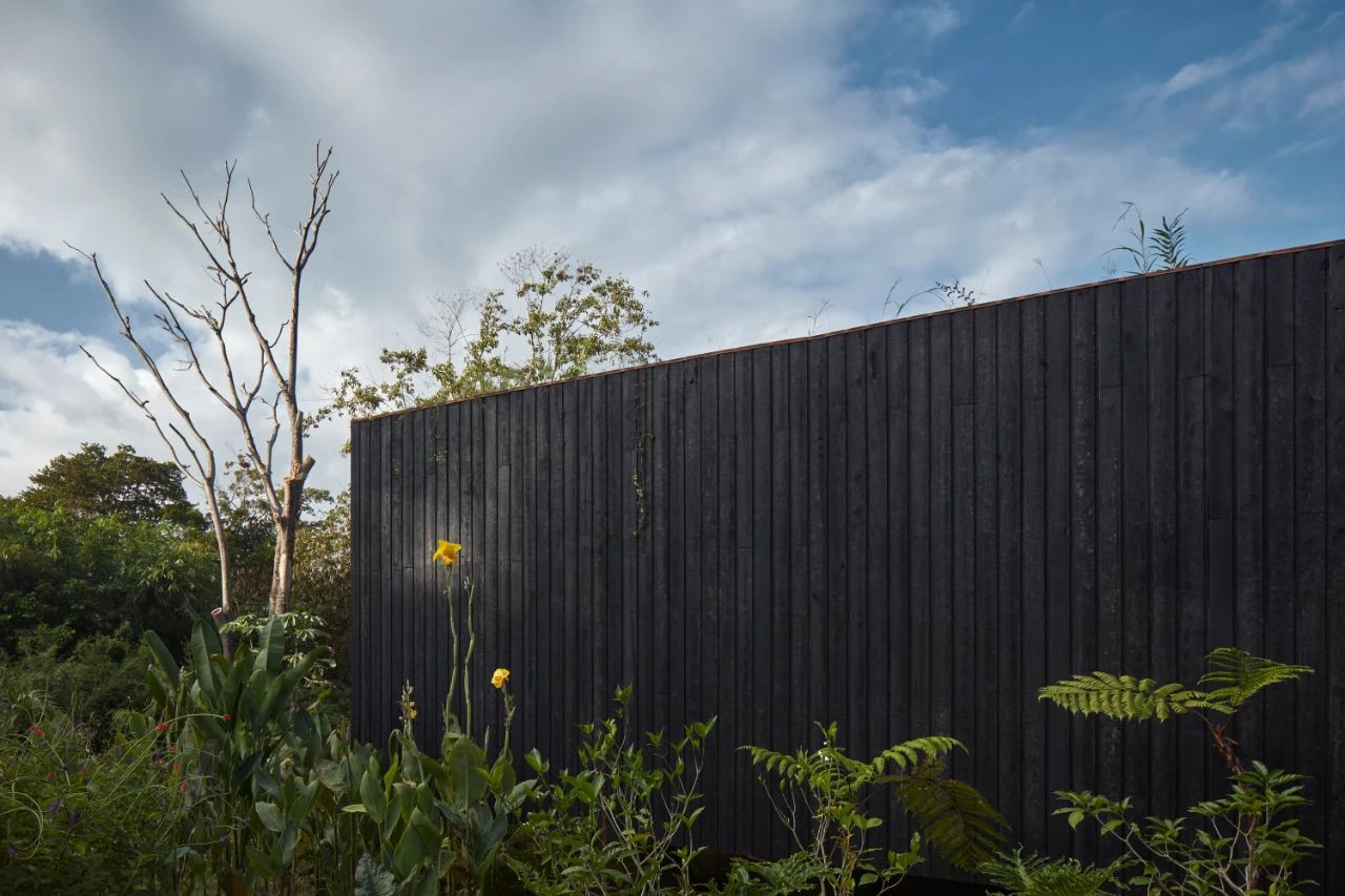 哥斯达黎加丛林中的艺术度假天堂-55