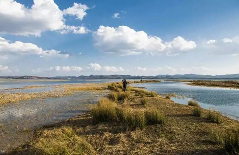 讲述 | 守护在“高原明珠”的绿色工匠-6