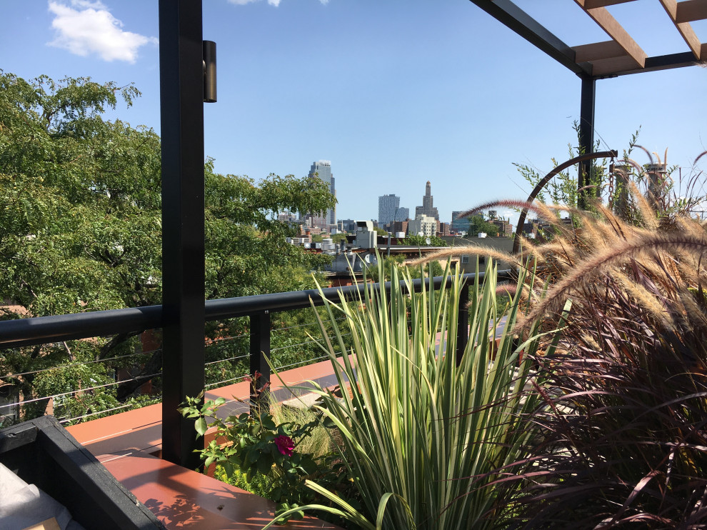 Cobble Hill Rooftop & Pergola-11