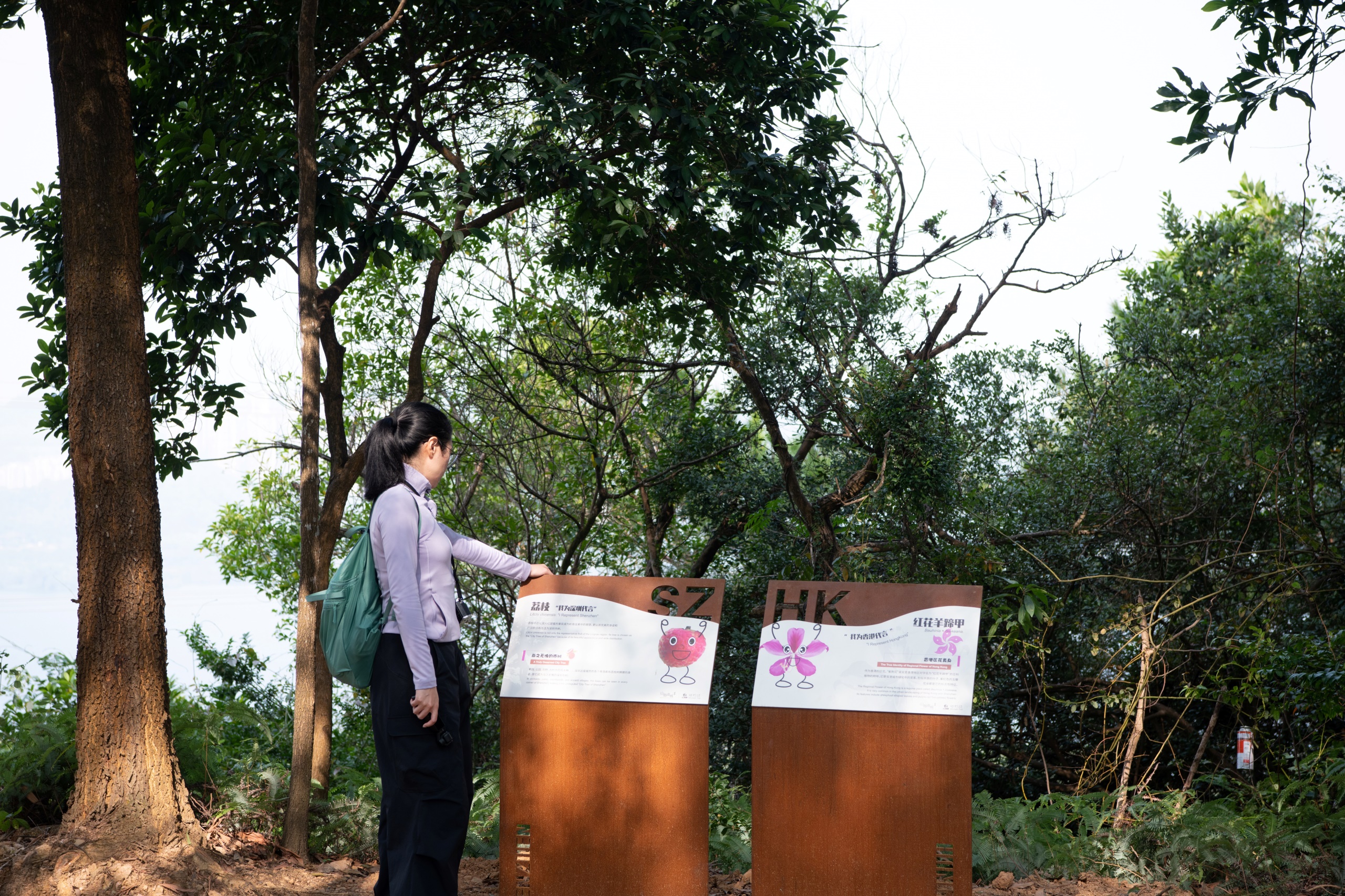 深圳市罗湖区东湖公园郊野径 – 莲塘口岸线丨中国深圳丨深圳市未名设计顾问有限公司 （WMLA）-122