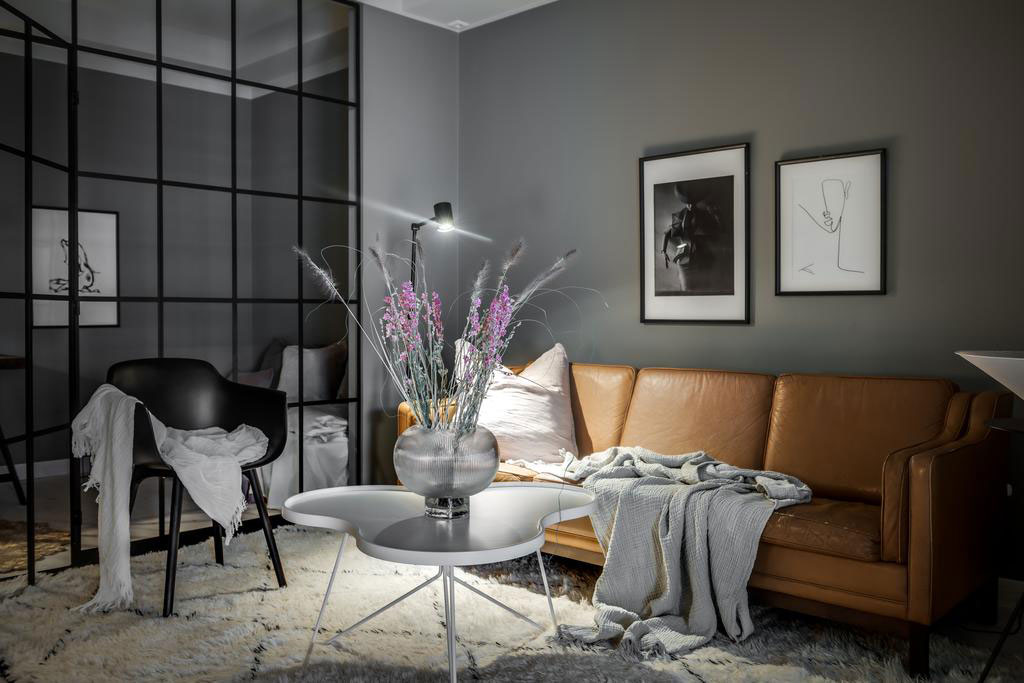 瑞典 75 平米公寓的黑暗墙面与有趣分区设计-4