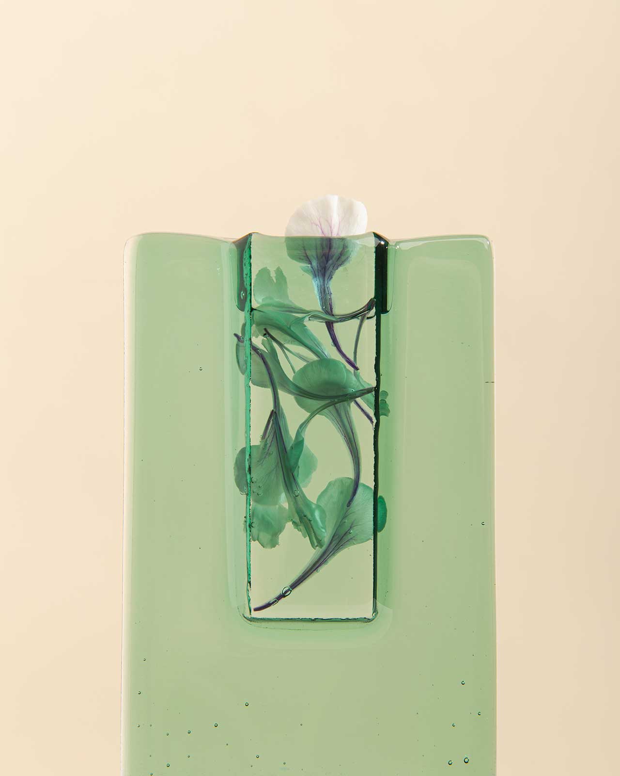 "Glassmateria Slimline Vase |  现代几何设计的魅力"-12