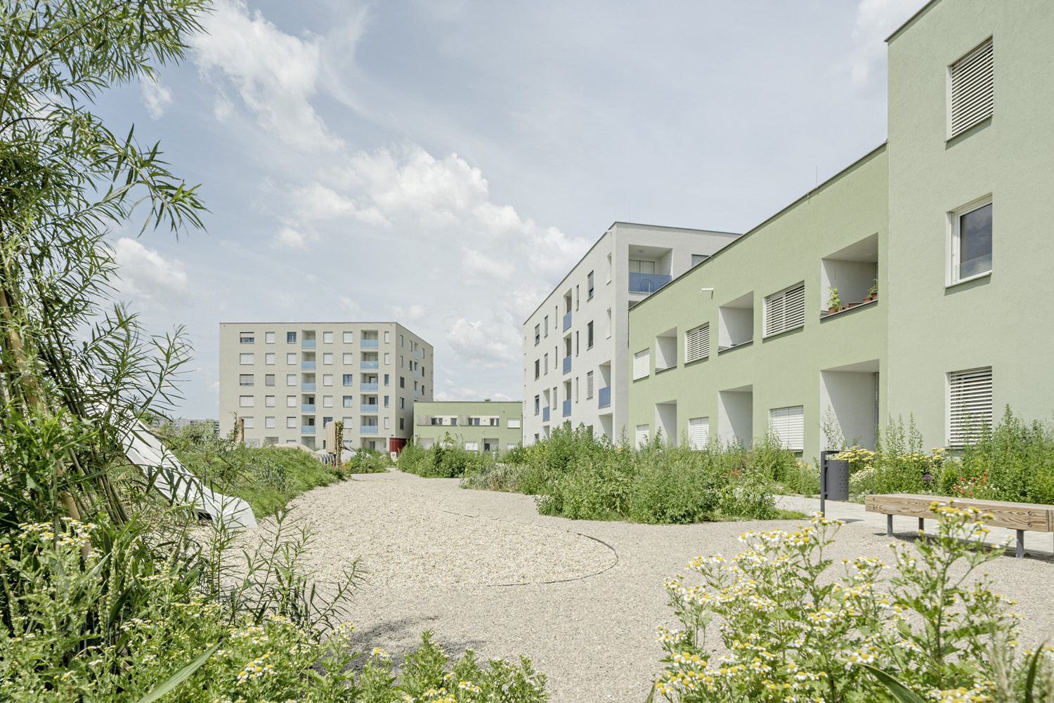 Berresgasse 住宅丨feld72 Architects-22