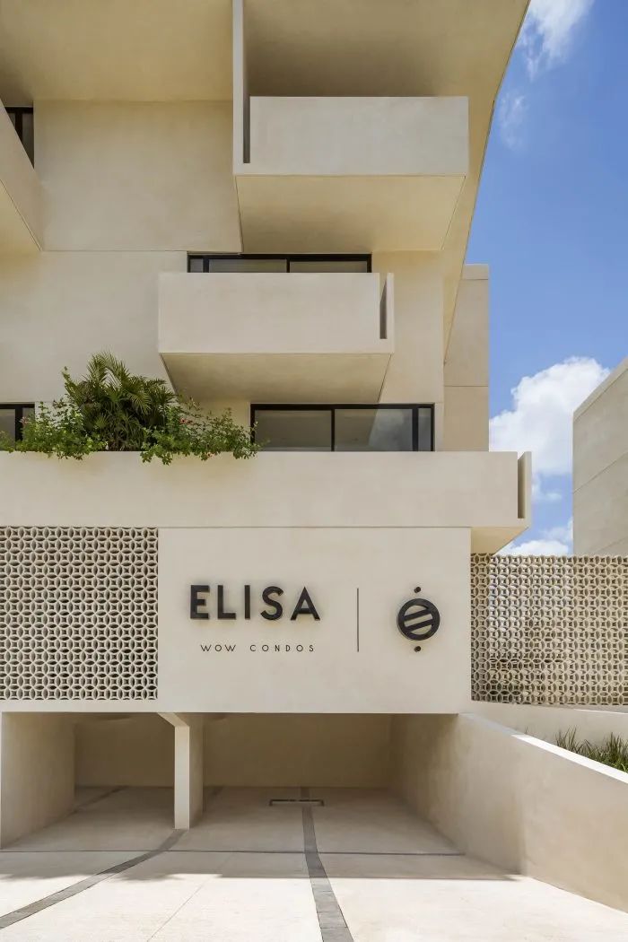 Elisa Wow 公寓丨墨西哥丨Live Desarrollos-11