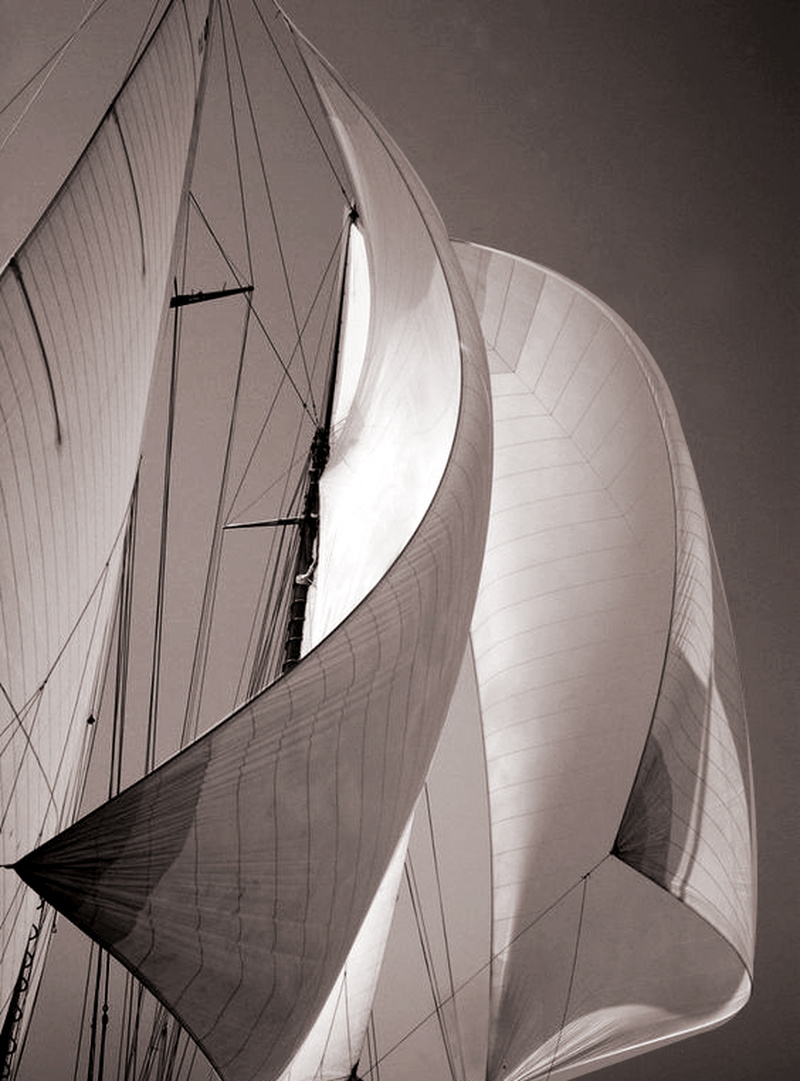 帆影翩跹 · 中山鸿基金色年华·悦府城市艺术展厅丨中国中山丨奥迅设计-4