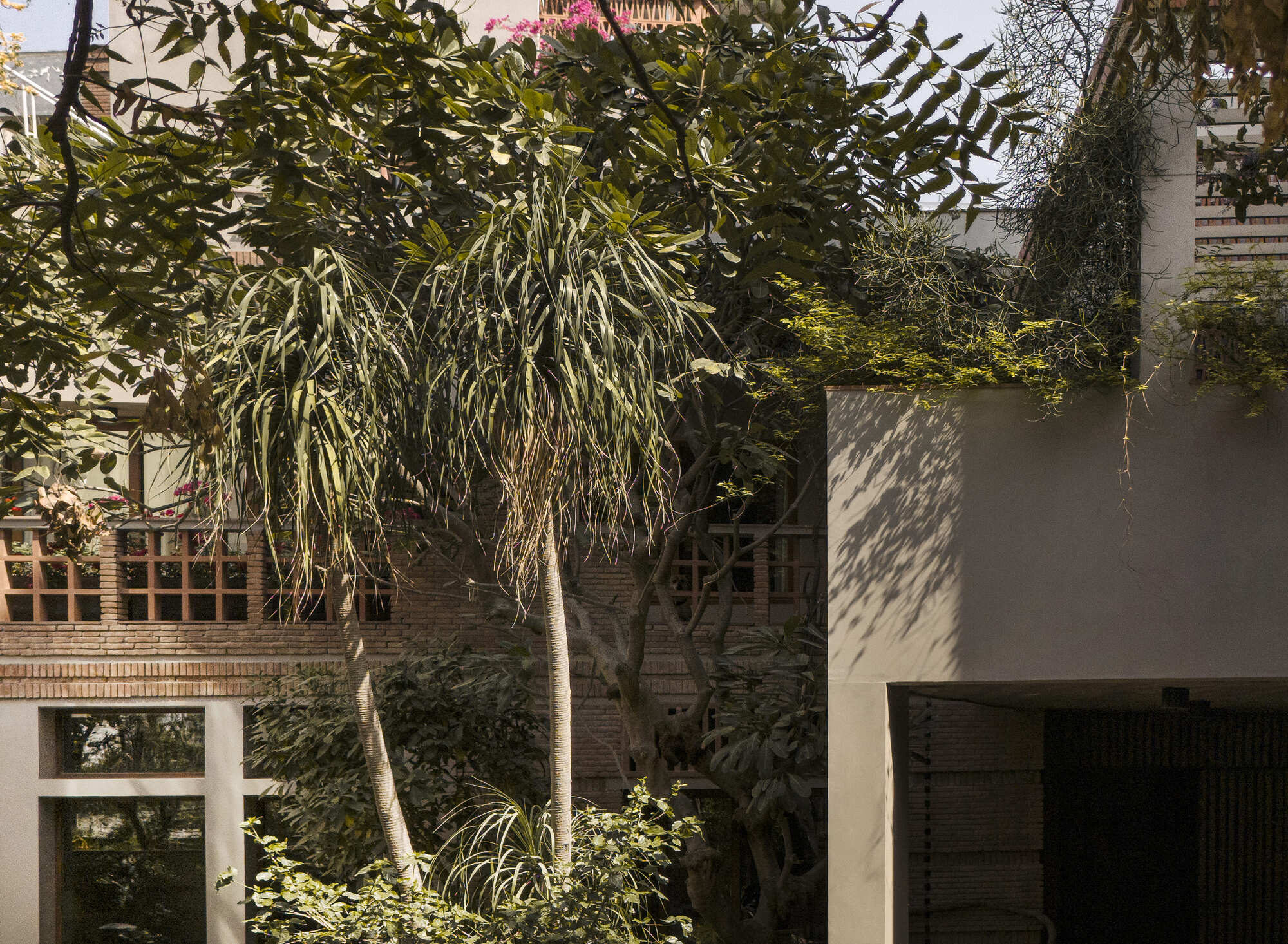 丨印度丨Studio Juggernaut-34