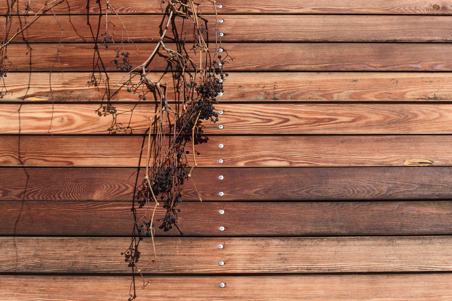 莫斯科魅力暗木小屋，玻璃墙环绕的全年宜居亭子-46