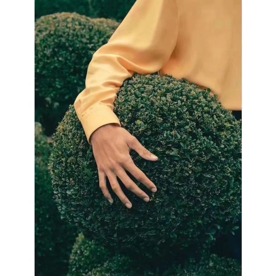 绿意盎然,文艺复兴风格复兴之作——伊塔蒂别墅花园设计-9