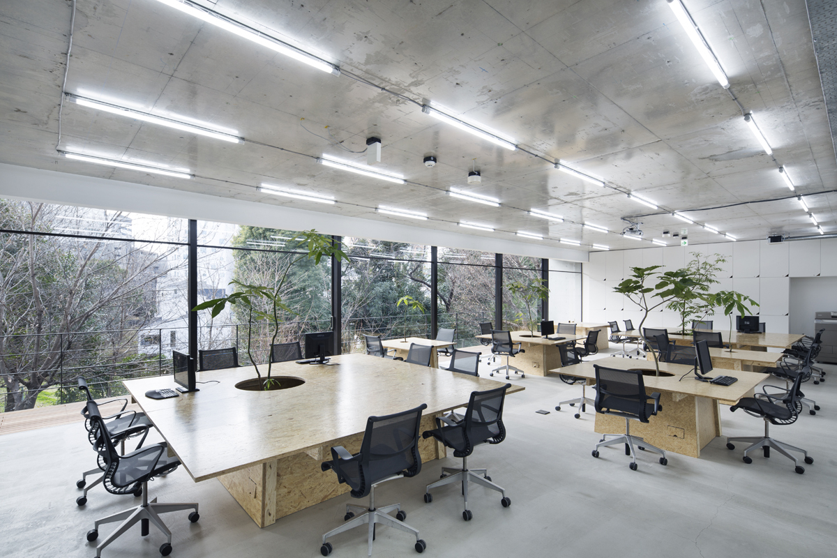 东京绿意盎然的中古商店-23