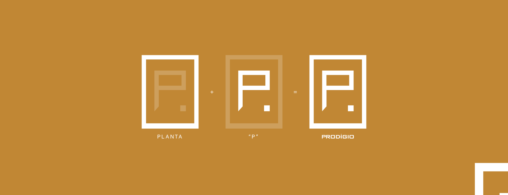 Prodígio Empreendimentos 品牌重塑丨巴西丨Tagarela Digital-10