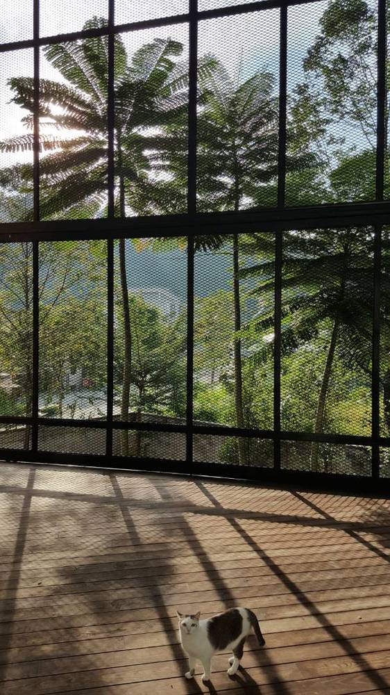 38Mews House  Design Collective Architects-33