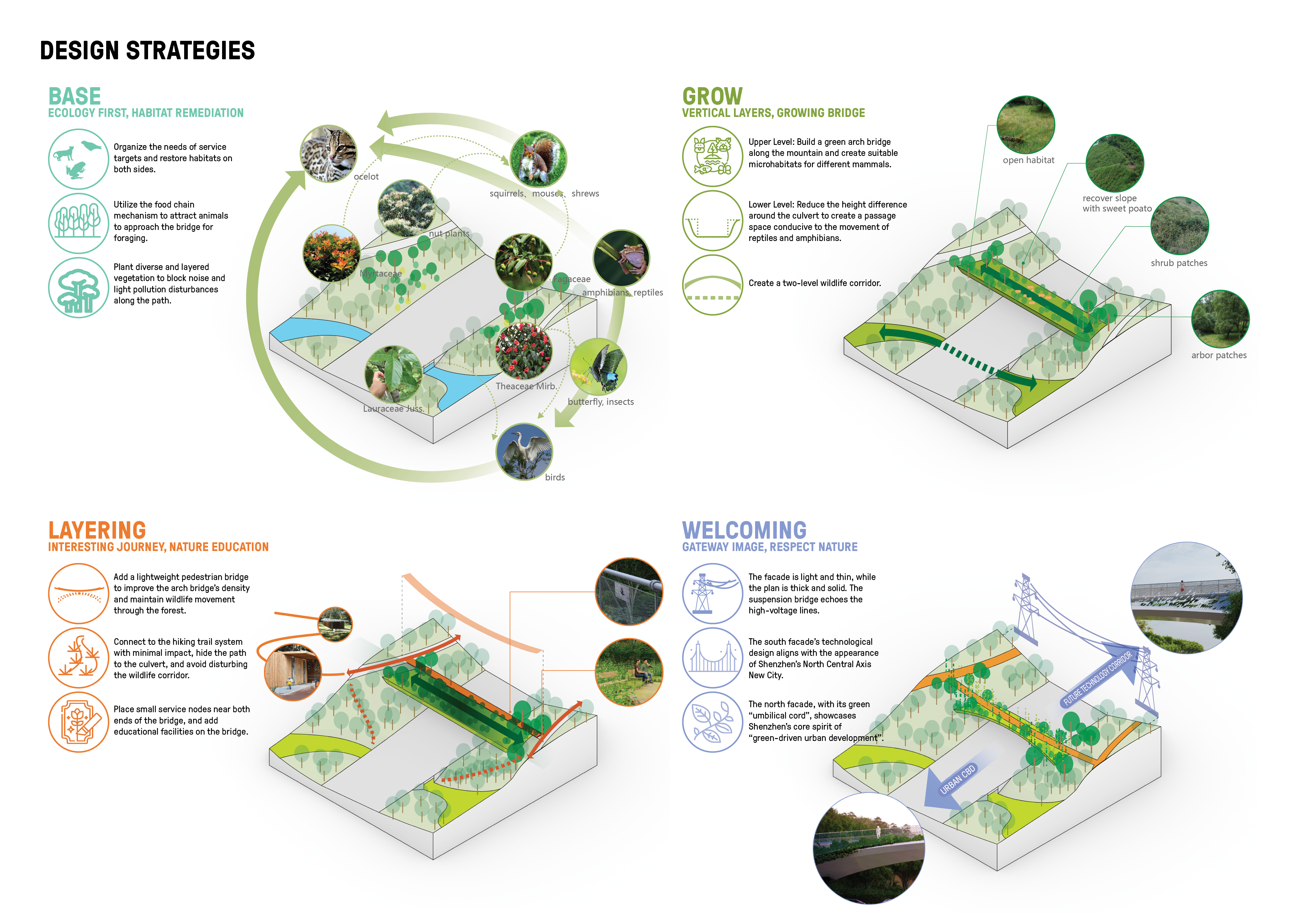 Meilin Mountain – Yinhu Mountain Corridor Bridge | SWA Group-14