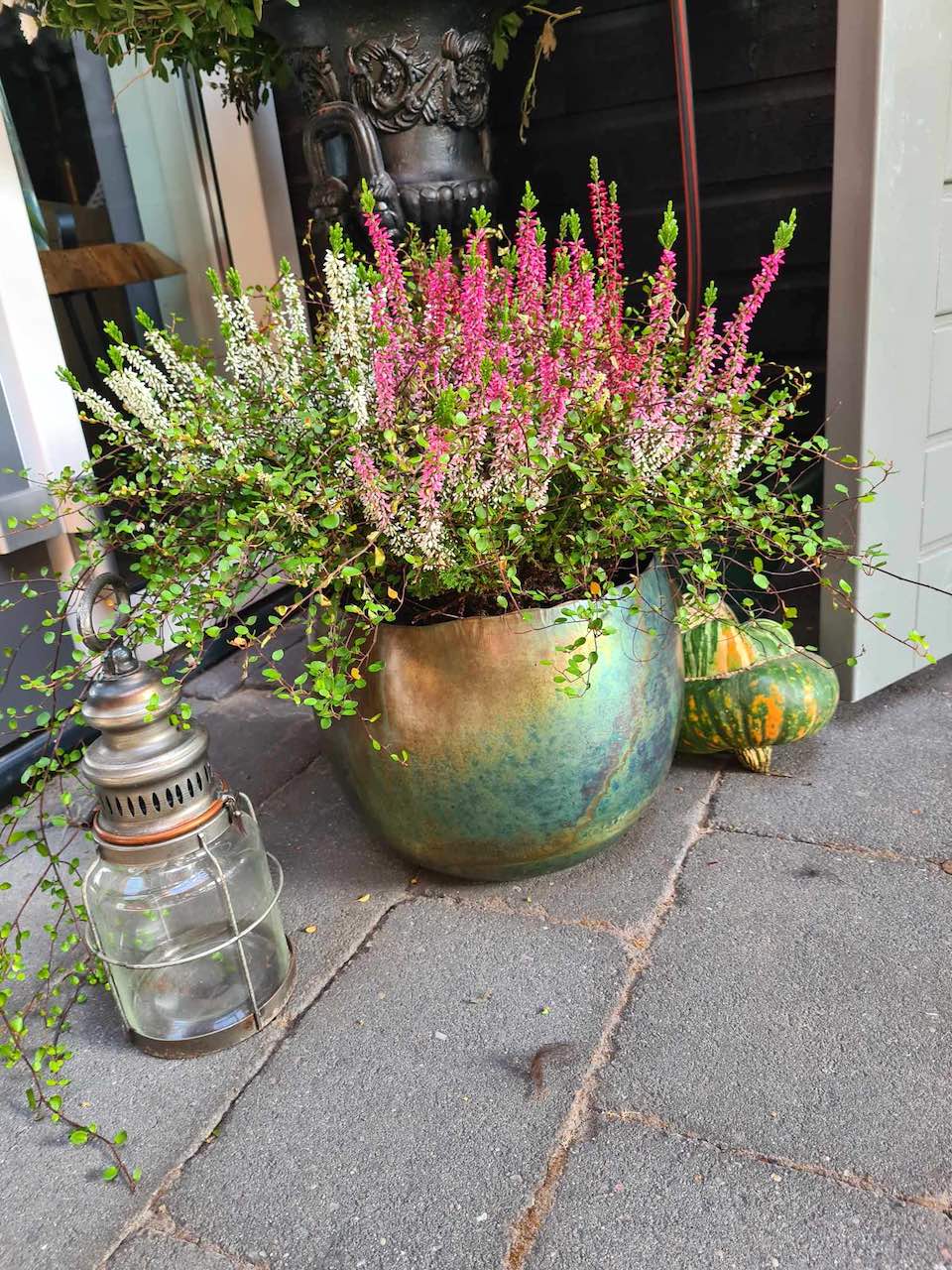 Margreet的带露台小花园丨荷兰阿森-36