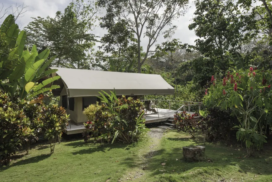 Canopy Camp Darién 生态酒店-19