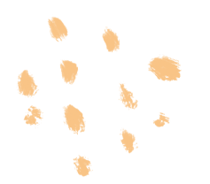 济南华侨城欢乐荟试营业，国家级IP助推树立文旅新标杆-8