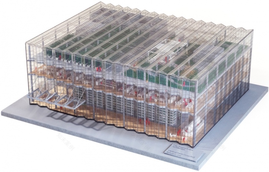 衡水垂直农场丨中国河北丨van Bergen Kolpa Architects-29