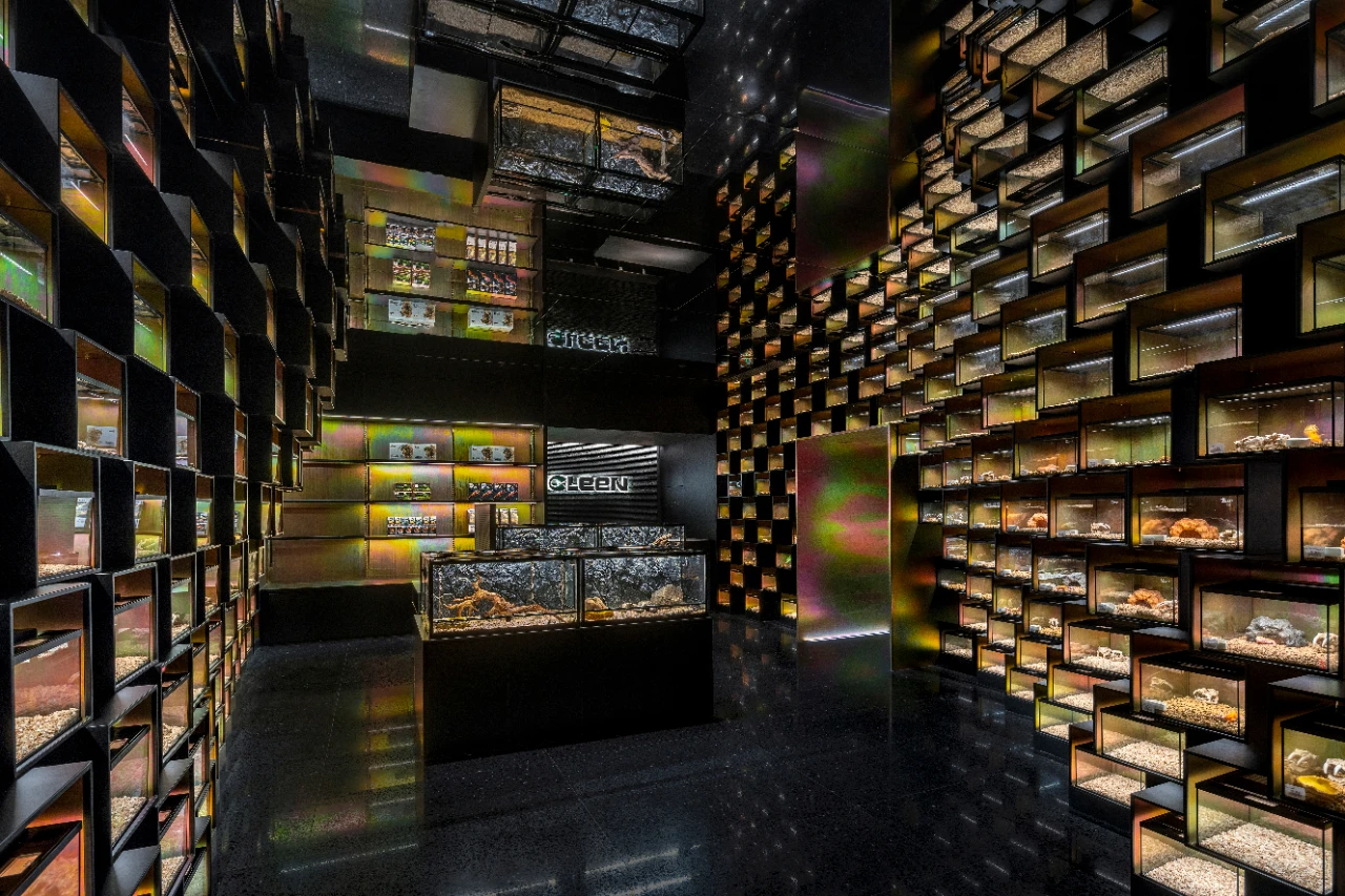 鳞动｜其鳞· 爬宠体验店丨谢几点设计事务所（中国•广州）-23