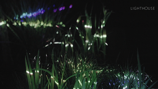 新昌狐巴巴探索星球-16