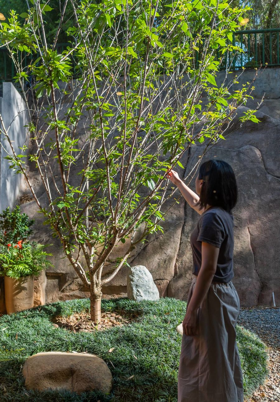 厦门李府别墅-37