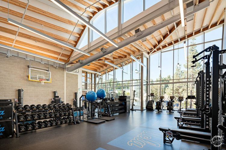 UCLA洛杉磯加洲大學籃球運動場：一個帶有魚鰭狀嵌板與波浪屋頂的建築。 - WEHOUSE-2