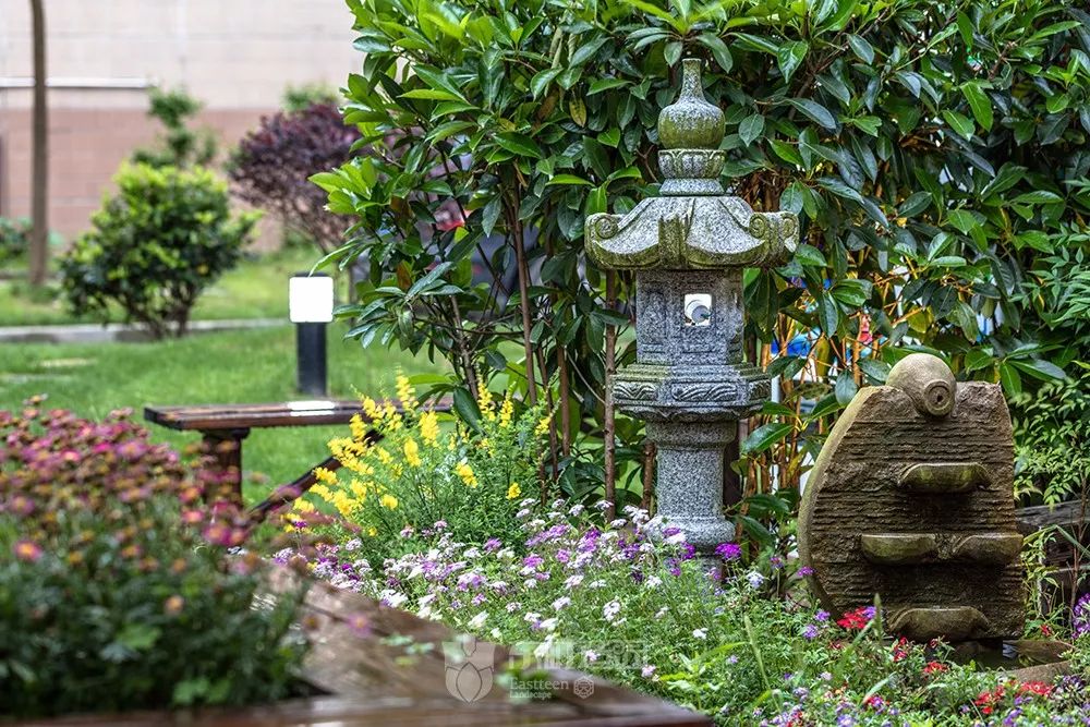 花园植物搭配的艺术与功能-34