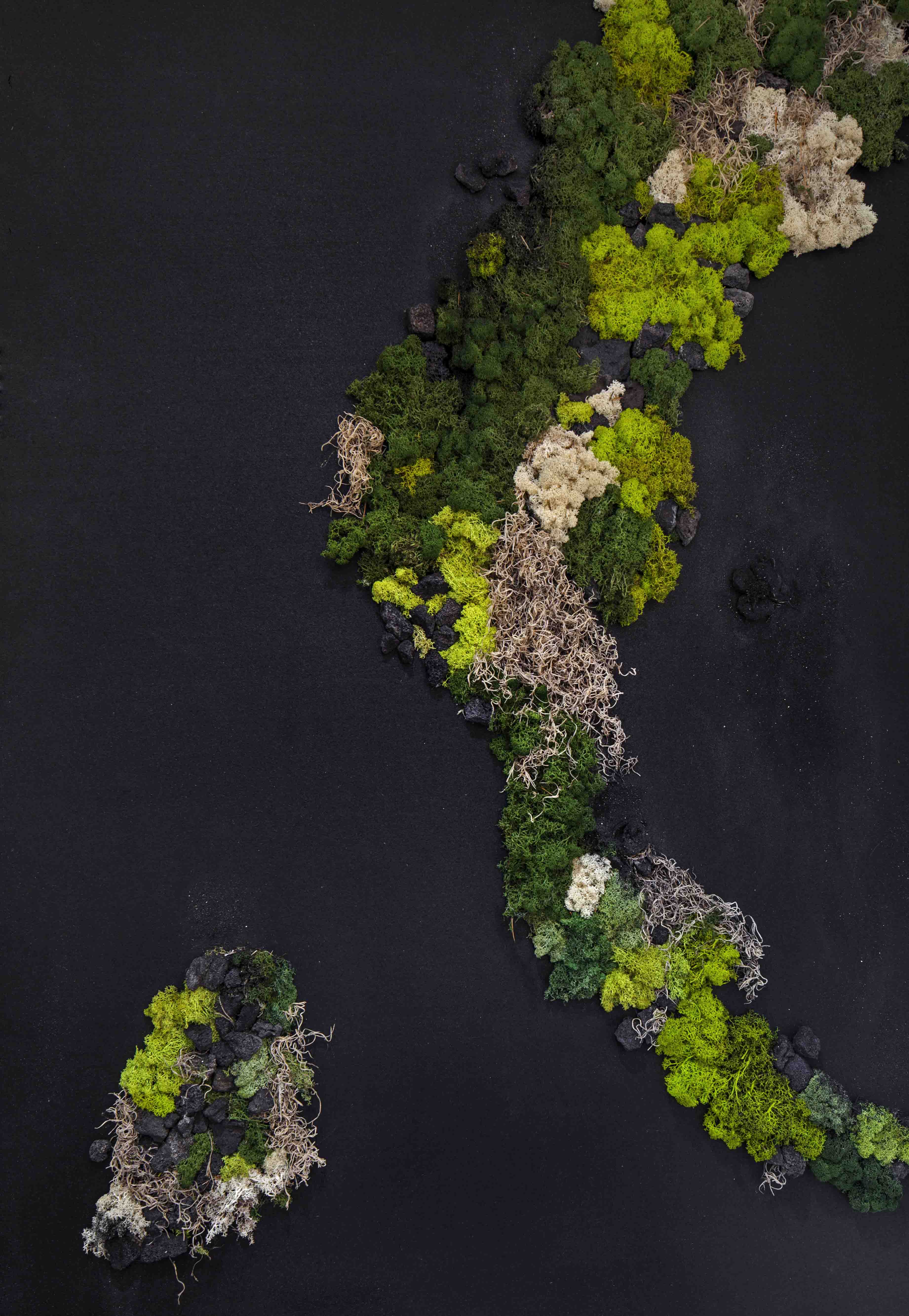 加州环保住宅“Dawnsknoll”-44