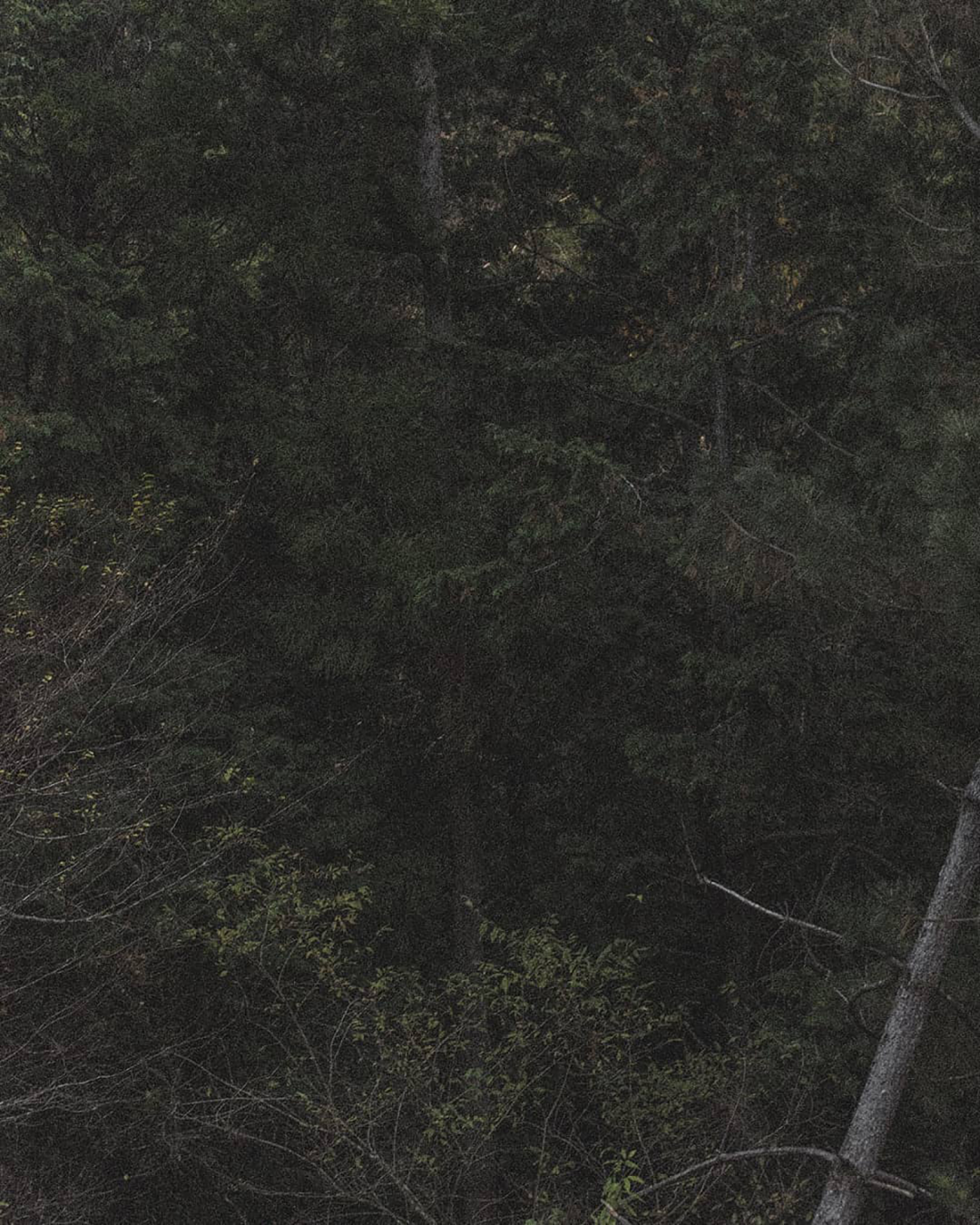 清水昂喜工作室丨日本爱知-4