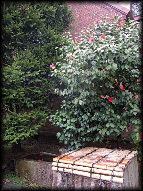 有栖川宮旧邸宅（平安女学院有栖館）丨日本京都丨11代目小川治兵衛（7代小川治兵衛末裔）-34