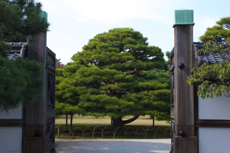 京都二条城丨日本京都-21