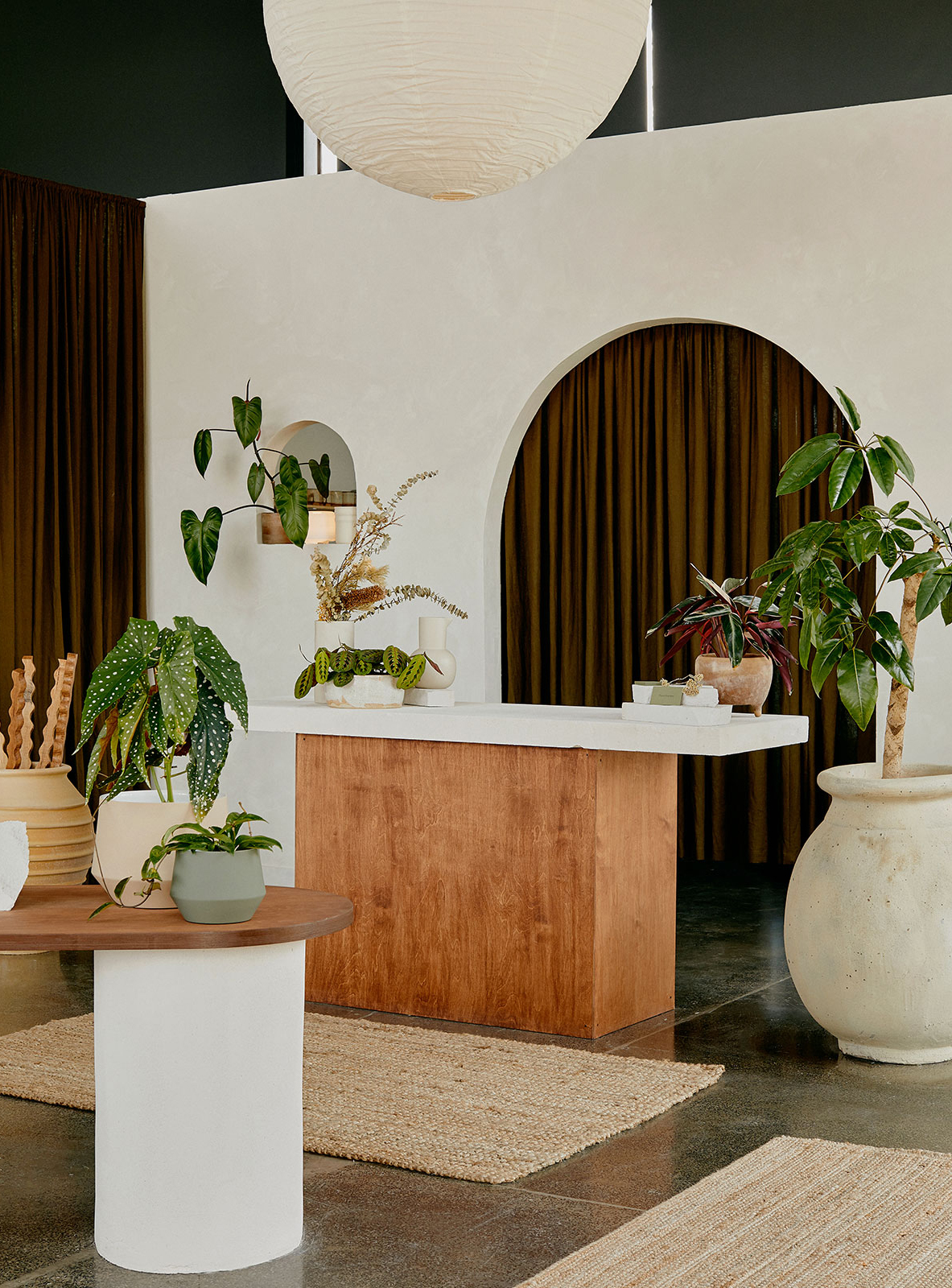 Plant Charmer 零售空间设计-6