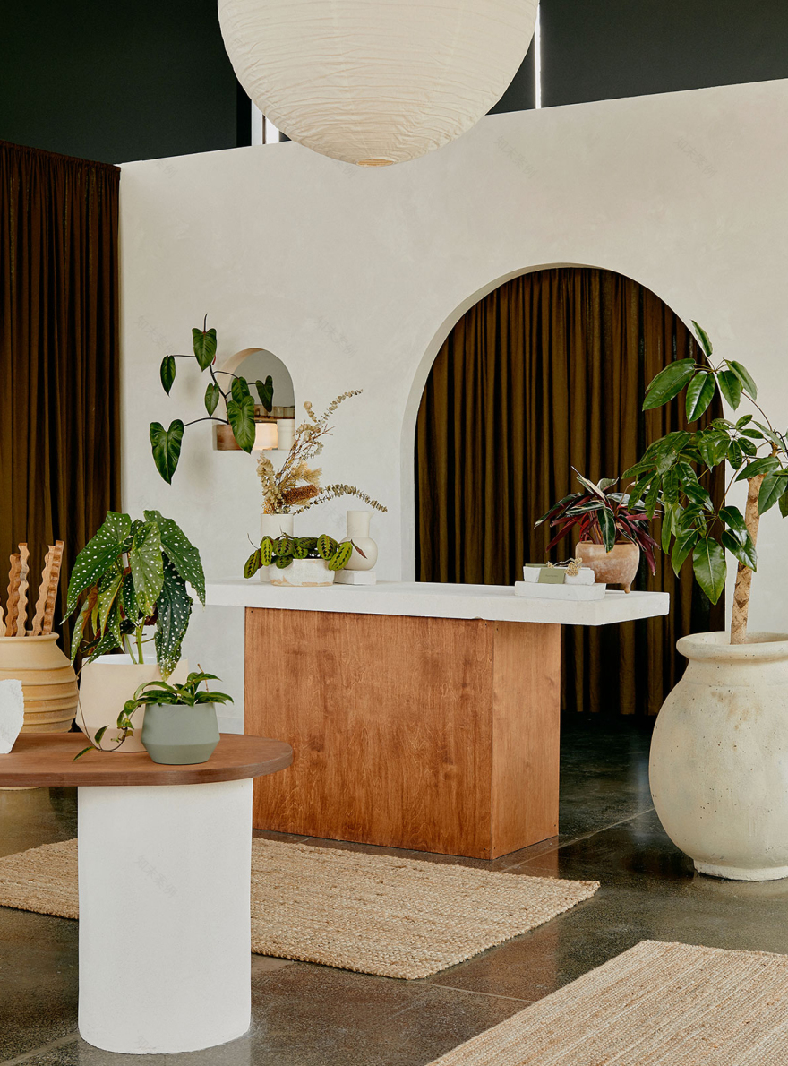 Plant Charmer 零售空间设计-6