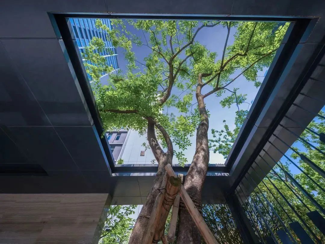 新华园•宋都桐庐富春望景观设计丨中国杭州丨棕榈设计有限公司杭州(成都)区域-45