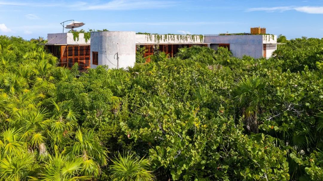 墨西哥 Productora 建筑事务所的超现实狂野建筑幻想-55