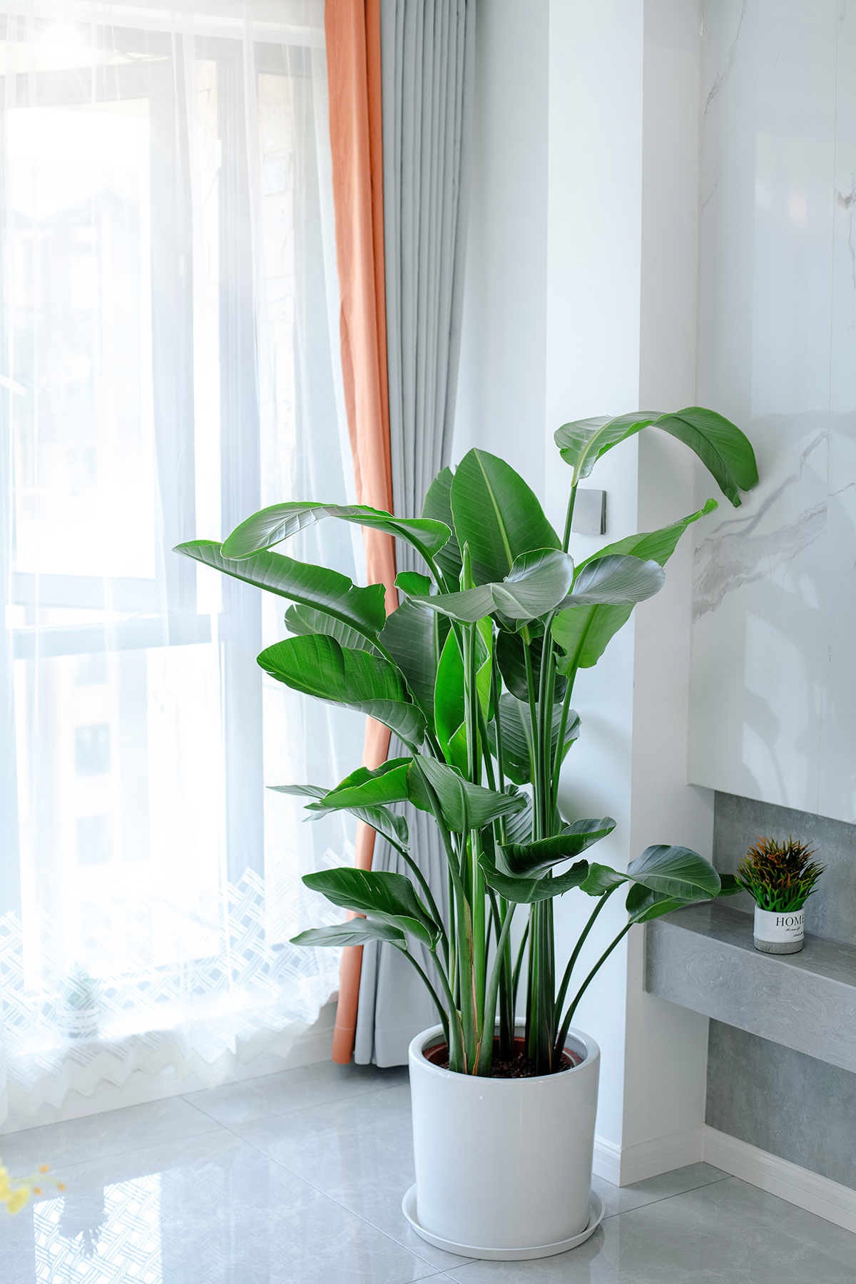 任若愚丨现代生活中的品质-10