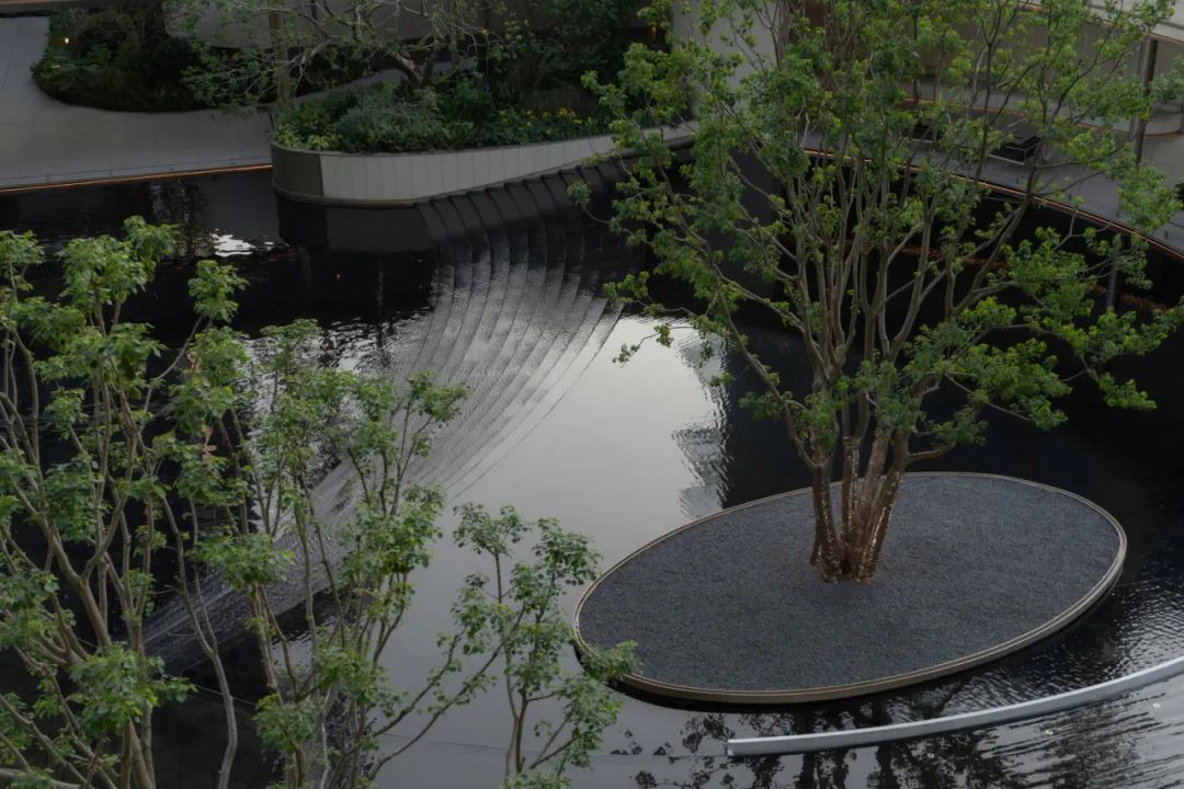 隐川浮影：宜兴栖氿云璟苑-41