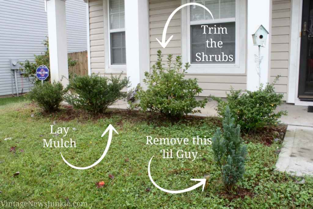 14 Effective Ways to Optimize Natural Daylight-5