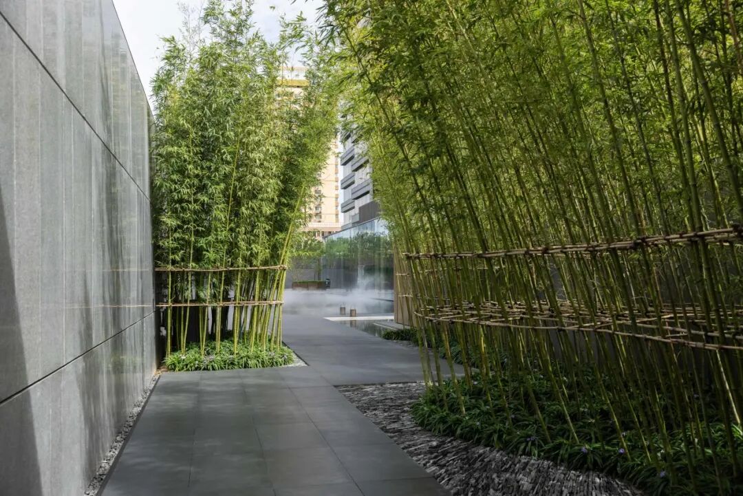 东直门8号：时空交叠城脉桃源 | 顺景园林-17