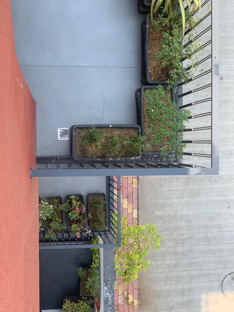 阿克尚克什·工作室 17-60