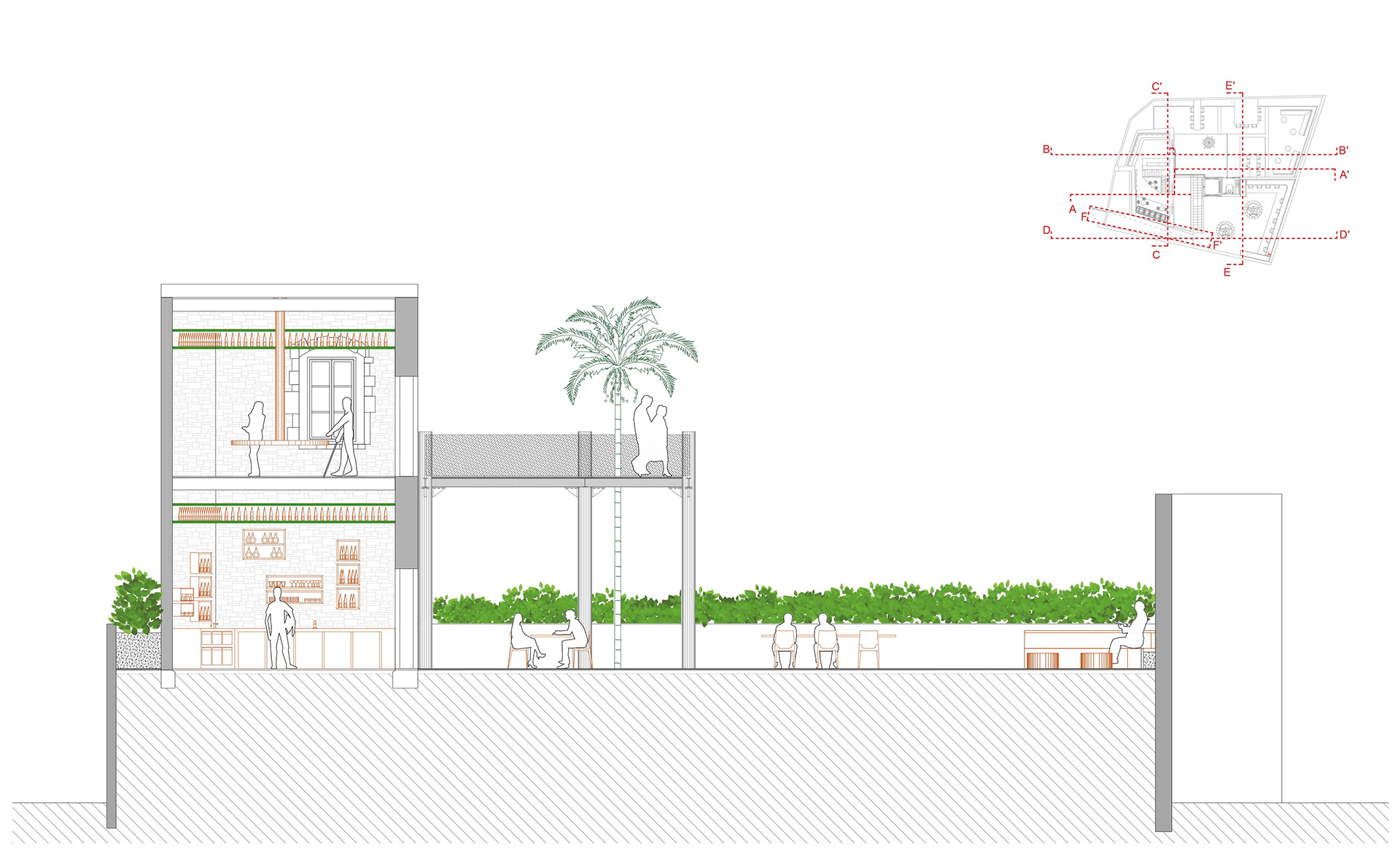 Donçell 大学项目 2023 个体-19