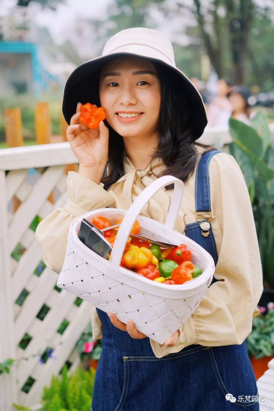 乐梵园艺打造成都花木博览会快闪花园,惊艳全场-113