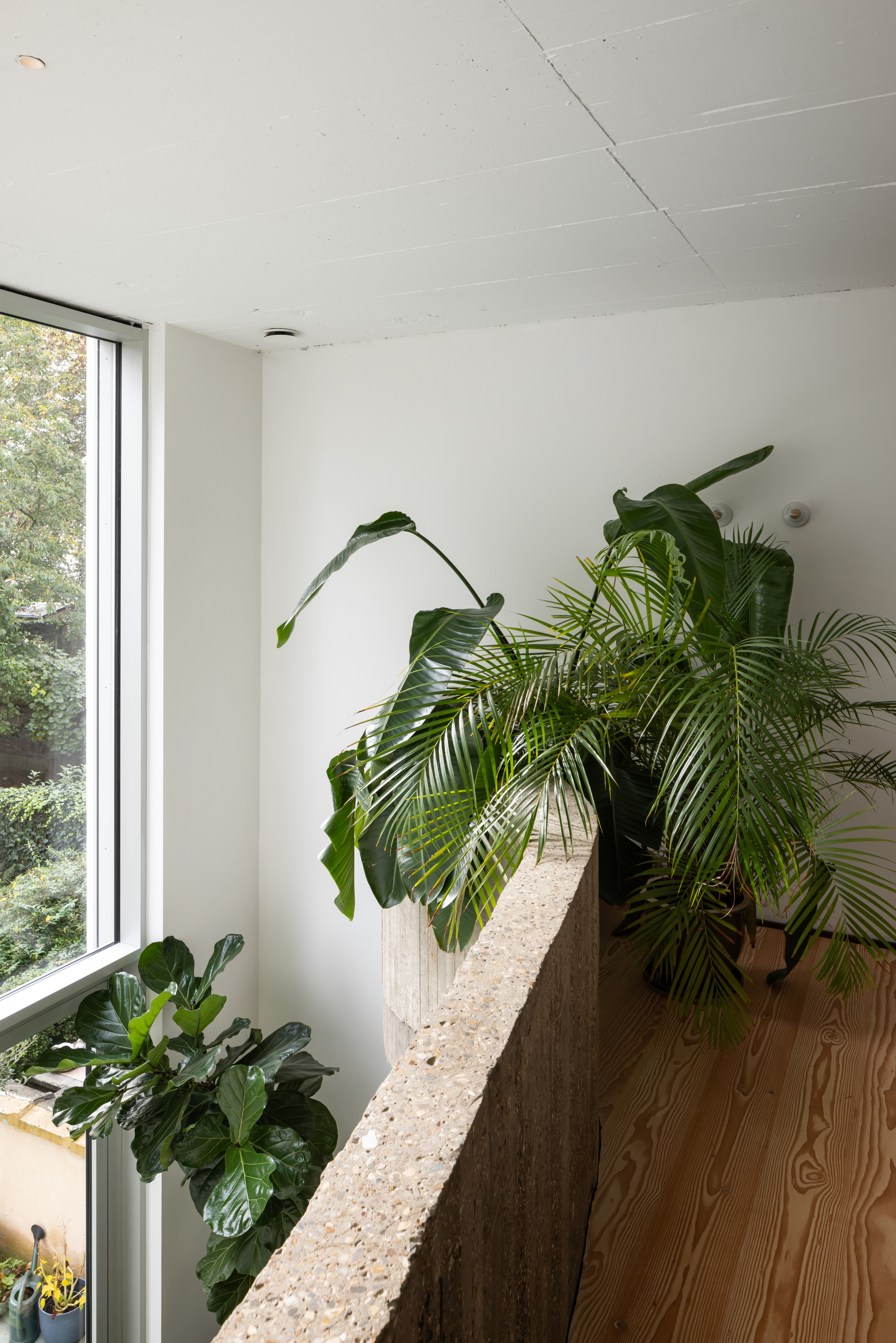 威尔住宅  或  韦尔房子丨比利时丨memo architectuur-28