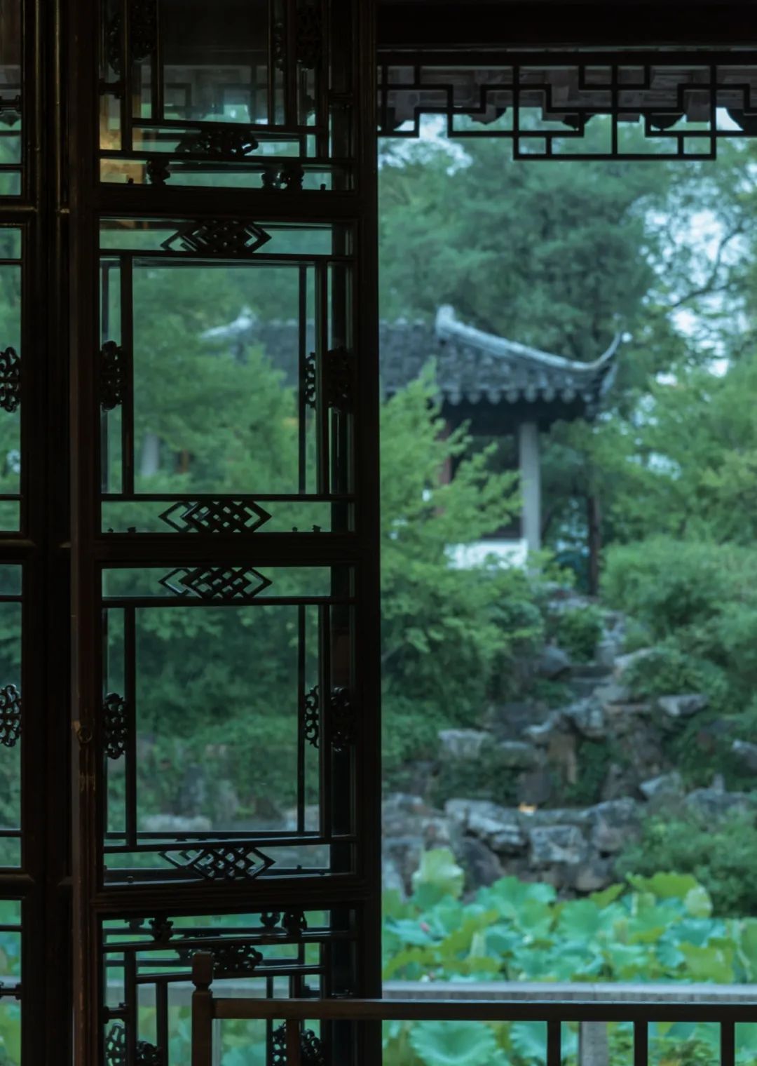 拙政园-19
