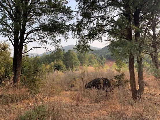 汉华天马山温泉酒店-94