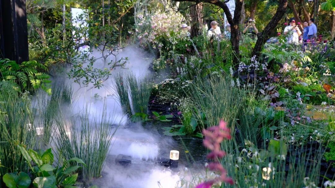 绮云书香|2024粤港澳大湾区花展宝安区城市花园-166