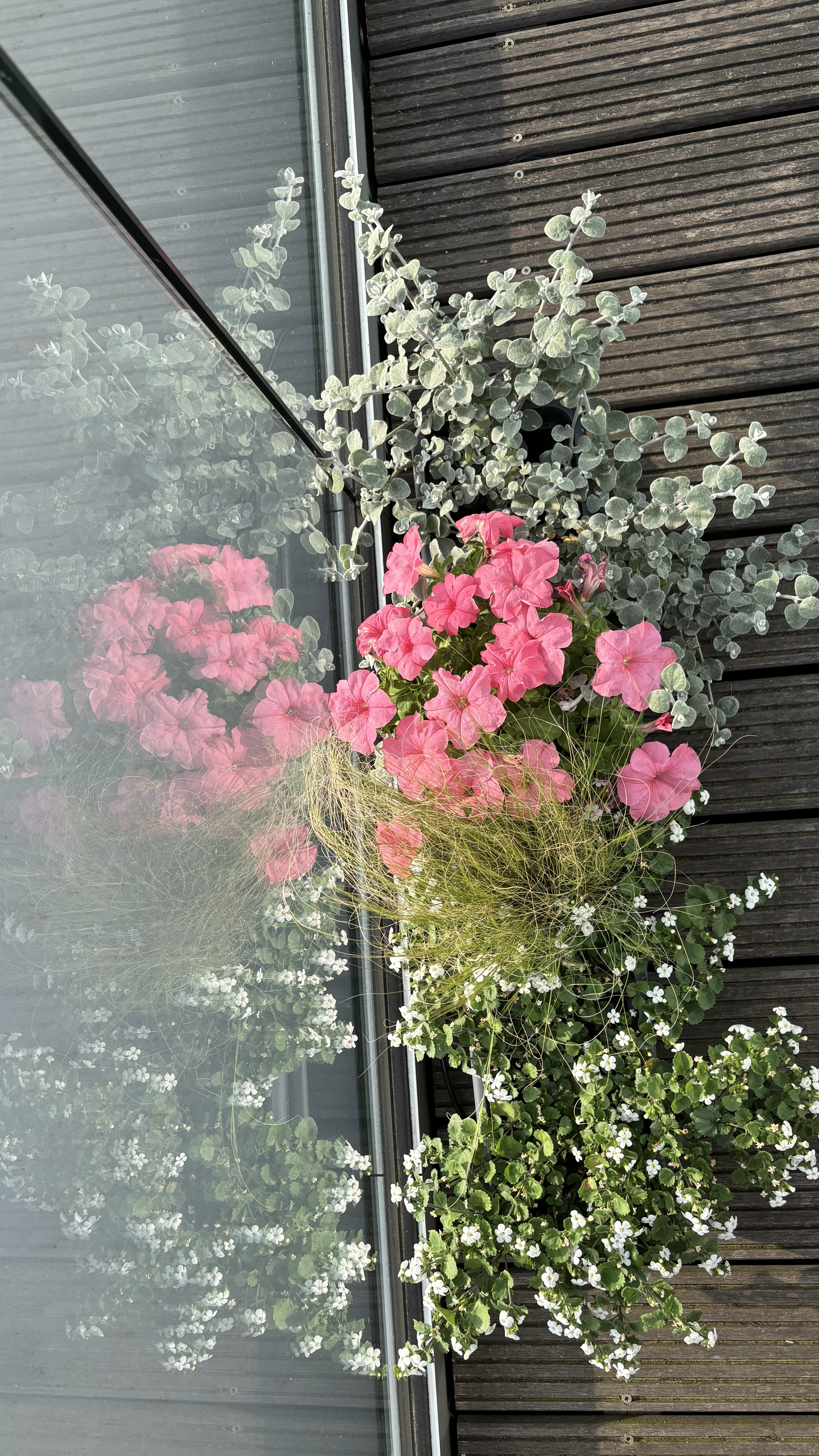 Ixelles Balcony Transformation-2