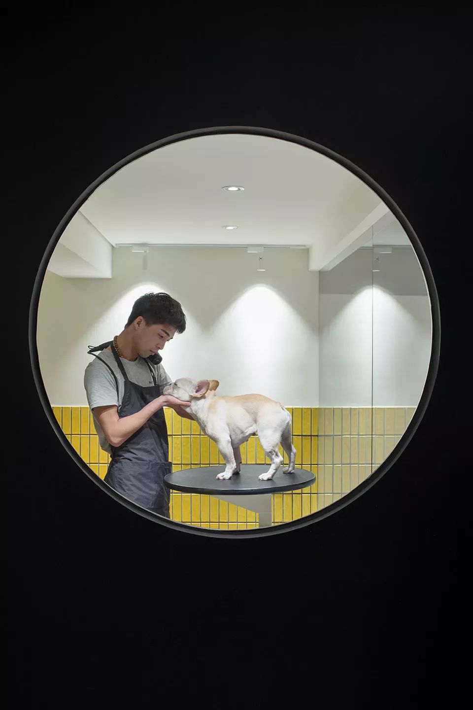 杭州 NOVA PETS 宠物咖啡店 | 人宠共享社交空间-49