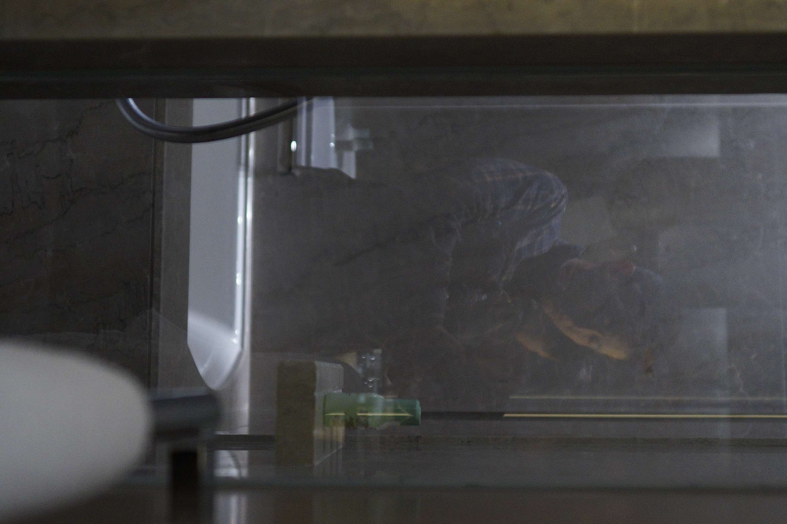 大连君悦越酒店实景-10-20